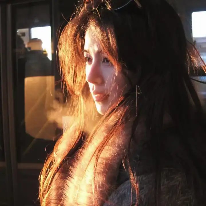 我的新野蛮女友海报